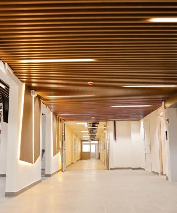 bc0033eb-6c78-477b-988c-295fc4520219