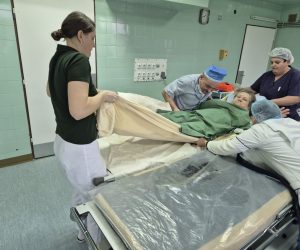 2024_12_12_10_34_img_6288